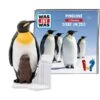 Tonies Was Ist Was - Pinguine / Tiere Im Zoo, Spielfigur 1 Tonies Was Ist Was - Pinguine / Tiere Im Zoo, Spielfigur -Tonies Tonies Was ist Was Pinguine Tiere im Zoo Spielfigur@@1667595